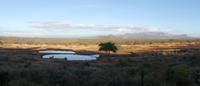 Ausblick von unserer Lodge in Tsavo West am Morgen