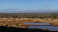 Ausblick von unserer Lodge in Tsavo West am Morgen mit Kilimandscharo