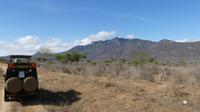 Team Caleb unterwegs in Tsavo West