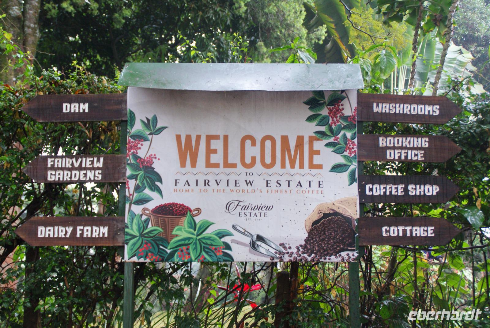 Fairview Estate Kaffeefarm