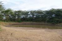 017-Bushwalk am Wasserloch