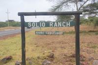 Safari im Solio Reservat