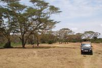 Safari im Solio Reservat (21)