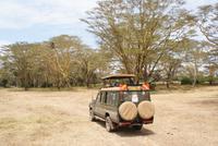 Safari im Solio Reservat (26)