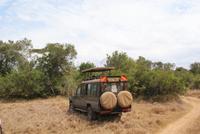 Safari im Solio Reservat (32)