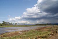 Nakuru Nationalpark (11)