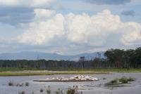 Nakuru Nationalpark (15)
