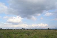 Nakuru Nationalpark (25)