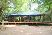 Masai Mara Bush Camp (3)