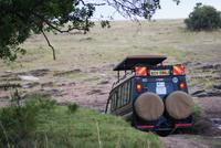 Über Stock und Stein