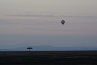 Ballonfahrt Masai Mara