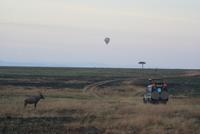 Morgenstimmung Masai Mara