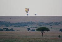 Morgenstimmung Masai Mara (3)