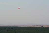Morgenstimmung Masai Mara 