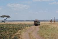 Masai Mara (46)