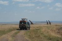 Masai Mara (49)