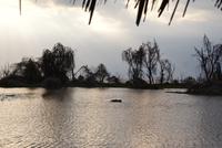 Hippo an und später in der Lodge