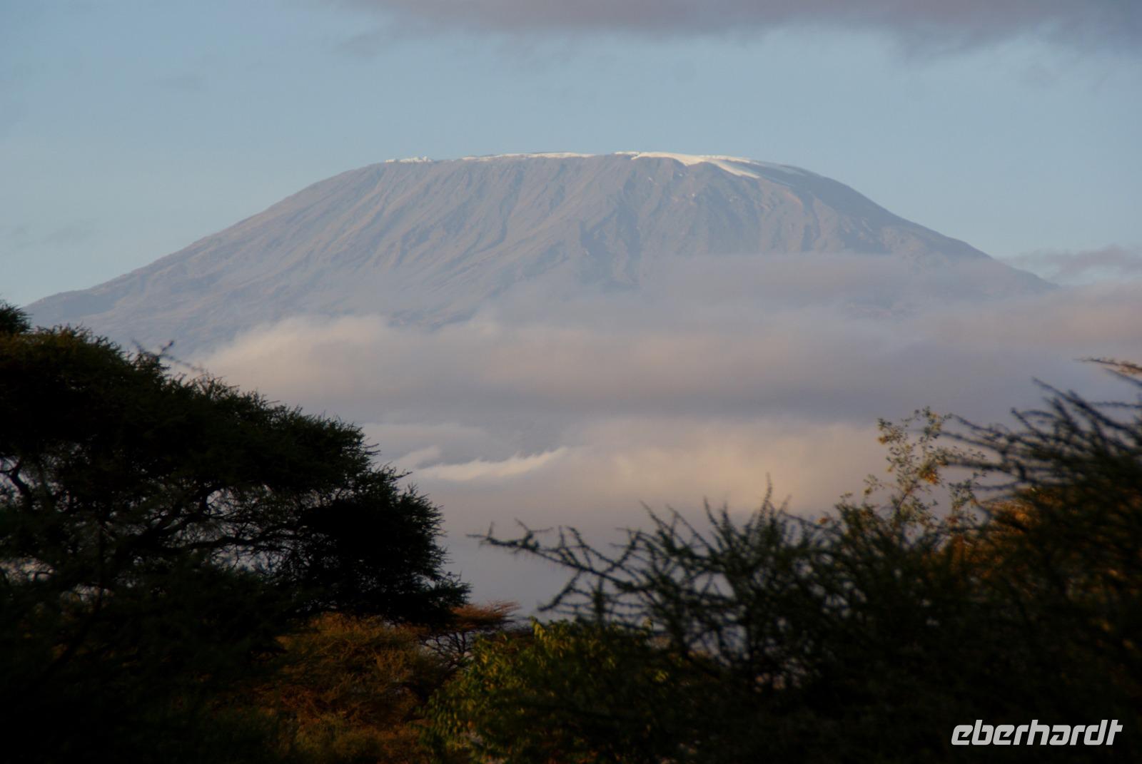 Blick auf Kilimandscharo