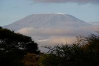 Blick auf Kilimandscharo