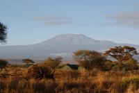 Blick auf Kilimandscharo (2)