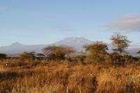 Blick auf Kilimandscharo (3)