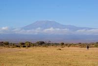 Blick auf Kilimandscharo (4)