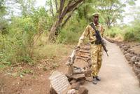 Spaziergang Mzima Springs