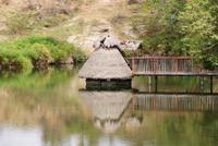 Spaziergang Mzima Springs (4)