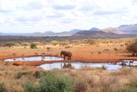 BLick von der Kilaguni Serena Safari Lodge