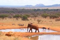 BLick von der Kilaguni Serena Safari Lodge (3)