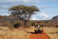 Safari Tsavo West.