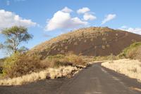 Safari Tsavo West. (3)