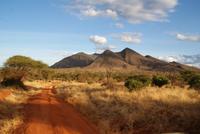 Safari Tsavo West. (6)