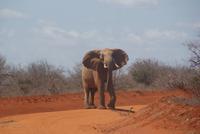 556- schlecht gelaunt