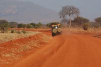 Tsavo Ost am Morgen (2)