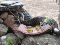 0019 Sandai Ranch - Weberei