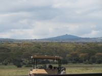 0029 Safari im Solio Nationalpark