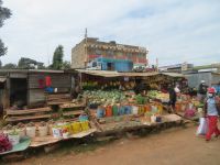 0073 Fahrt zum Nakuru-See