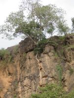 0117 Nakuru-Nationalpark - Makalia Falls