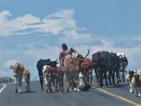 0132 Fahrt in die Massai Mara