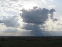 0161 Massai Mara - Wolkenspiele