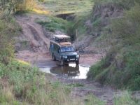 0180 Massai Mara - Fluss-Durchquerung
