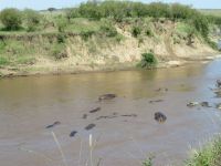 0289 Massai Mara - Marafluss