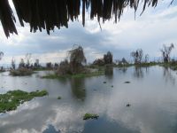 0395  Lake Naivasha - Lake Naivasha Sopa Lodge - 