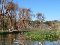 0420 Lake Naivasha - Bootsfahrt zur Crescent Island