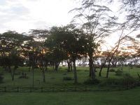 0511 Lake Naivasha Sopa Lodge - Abendstimmung
