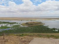 0648 Amboseli Nationalpark - 