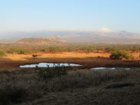 0940 Tsavo-West Nationalpark - Kilaguni Serena Safari Lodge - Morgenstimmung am Wasserloch 