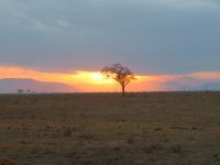 1041 Tsavo-Ost Nationalpark -Sonnenuntergang