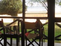 1096 Tsavo-Ost Nationalpark - Ashnil Aruba Lodge - Neugierige Meerkatzen schauen zu uns ins Zimmer